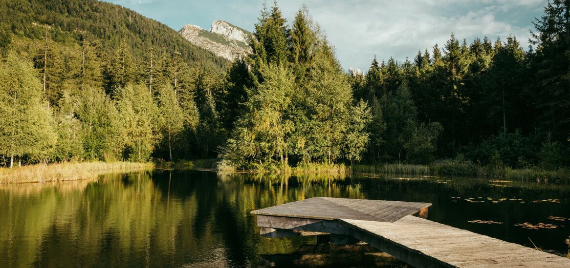 See mit Steg im Lammertal