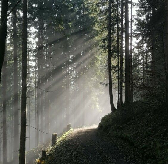 Hüttengenuss im Lammertal