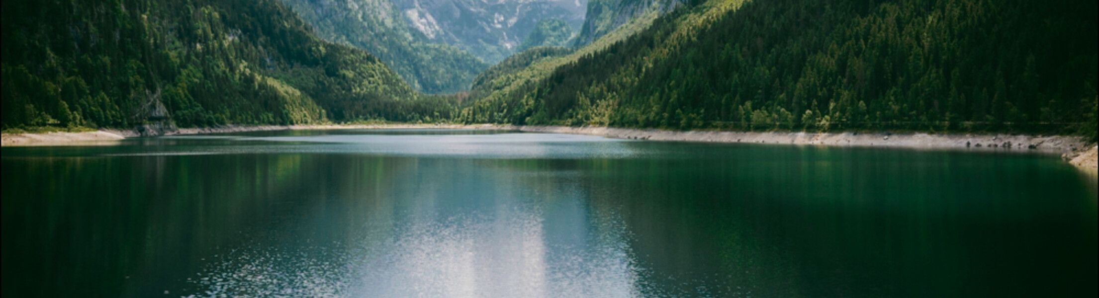 Sommer Wiese im Lammertal mit Kuh