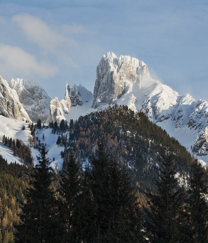 Junge Buben am Schlitten mit Hund bei Schnee